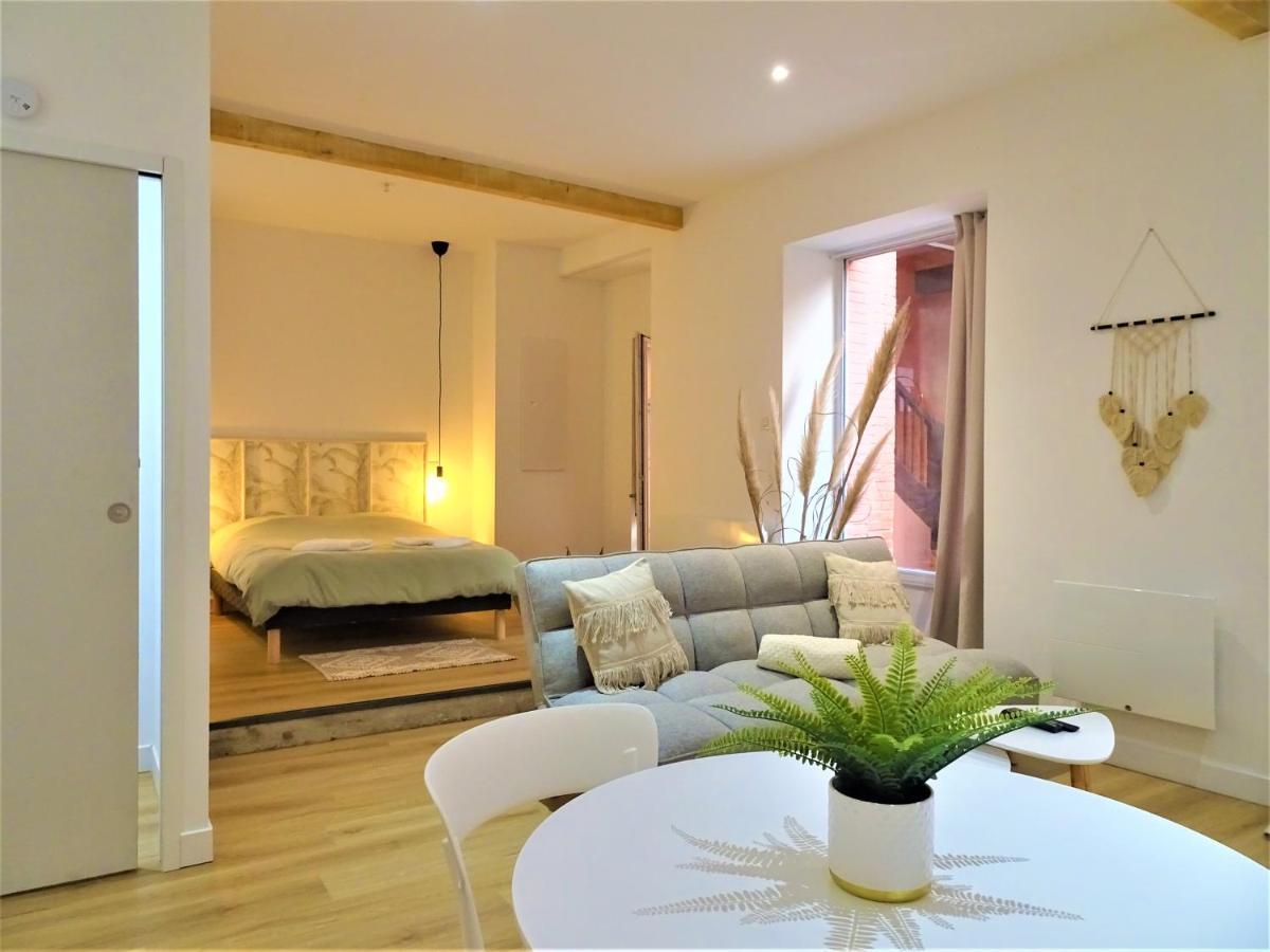 Sublime Cocon Pour 2 Aux Portes De La Place Nationale - Proximite Immediate Toutes Commodites Et Sites D'Interets Leilighet Montauban Eksteriør bilde